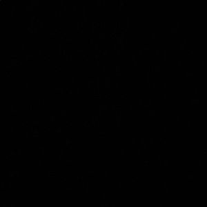 Meet your Posher, Dylan